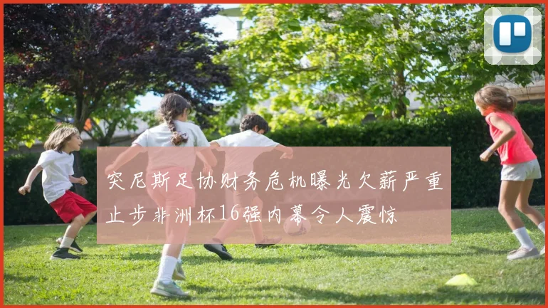 突尼斯足协财务危机曝光欠薪严重止步非洲杯16强内幕令人震惊