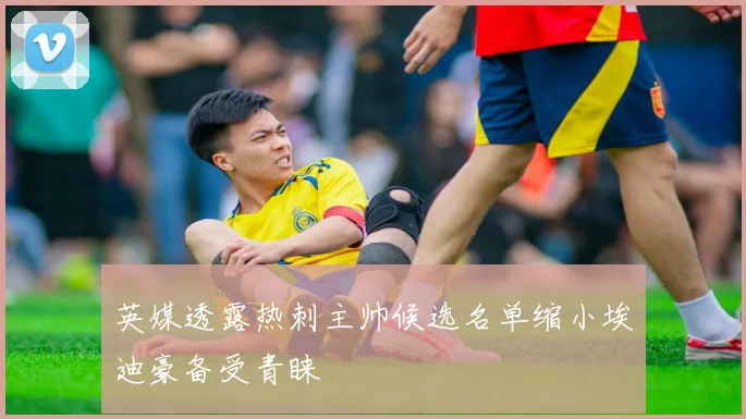 英媒透露热刺主帅候选名单缩小埃迪豪备受青睐