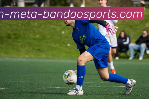 半岛体育全站App