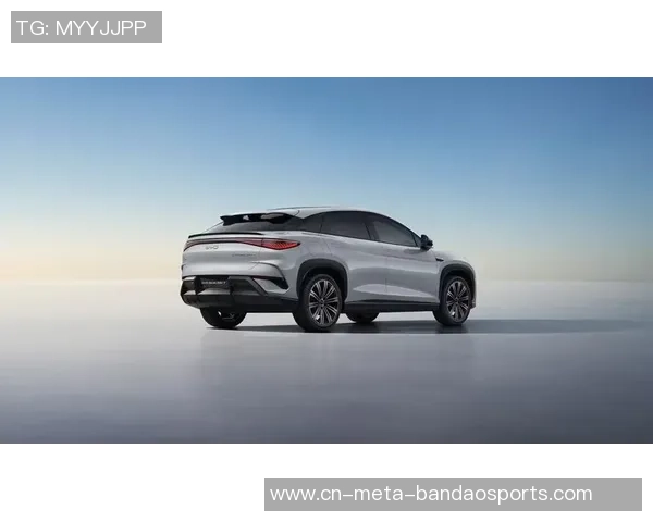 法兰克福高层访问中国与比亚迪洽谈9000万欧球场冠名合作 法兰克福高层访问中国与比亚迪洽谈9000万欧球场冠名合作